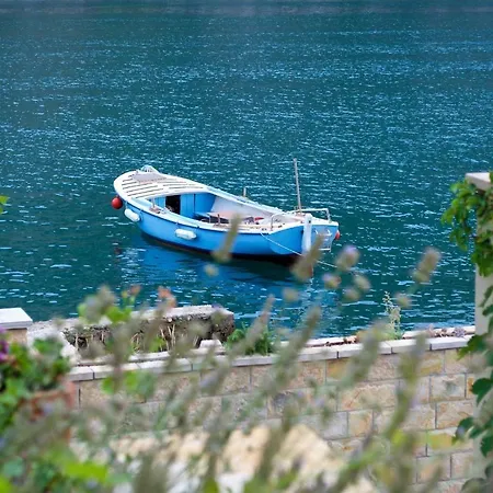 Casia Mokošica