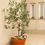 Casia ヴィラ Mokošica